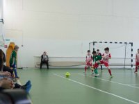 IMG_4351